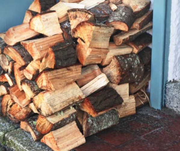 How to store firewood to avoid termites