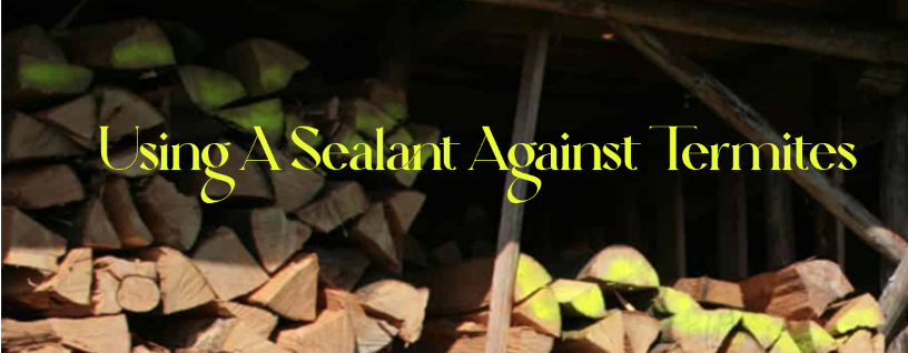 using a sealant against termites