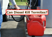 Can diesel kill termites? - featured image